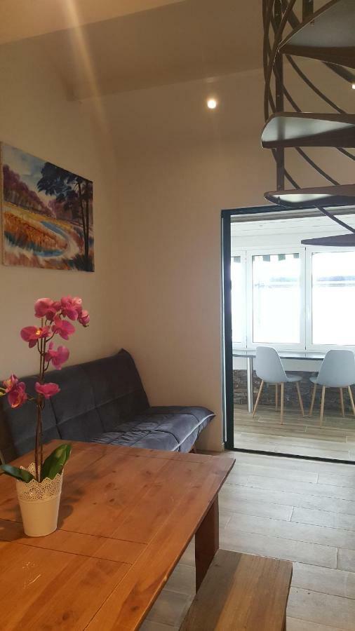 Face à L'océan Sans Vis à Vis, Avec Piscine Appartement Capbreton